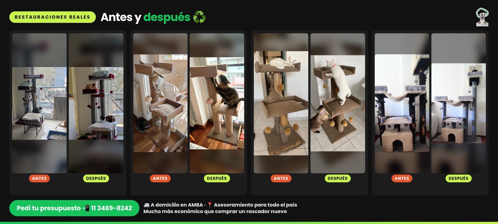 Restauraciones de rascadores Edén Gatuno: antes y después