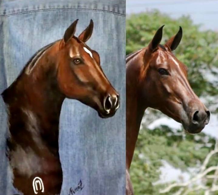 Retrato de cavalo castanho pintado em jaqueta jeans, ao lado da foto do animal