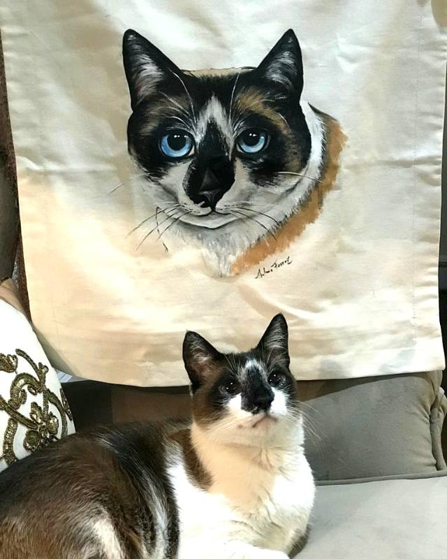 Gato de olhos azuis deitado em frente ao seu retrato pintado à mão em tecido