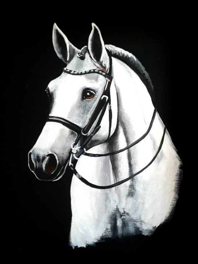 Tela com cavalo branco de cabeçada e rédeas sobre fundo preto