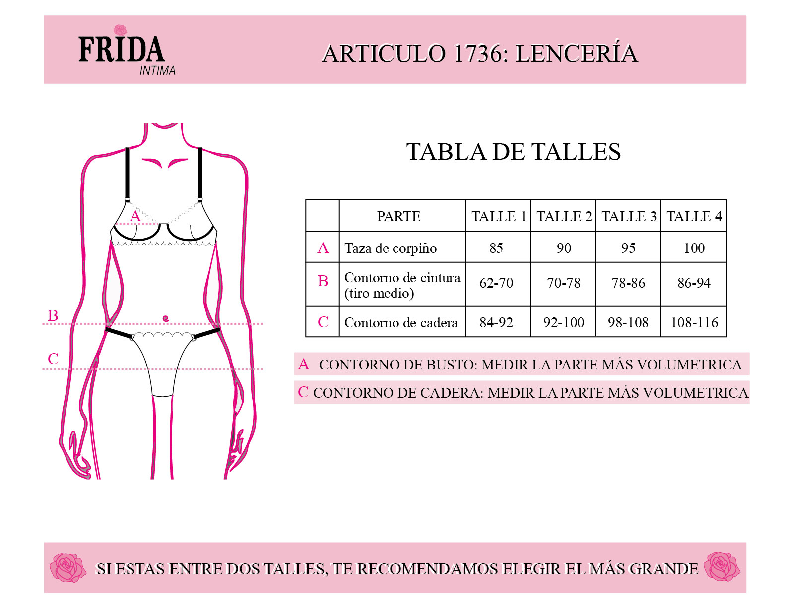 MEDIDAS 1736
