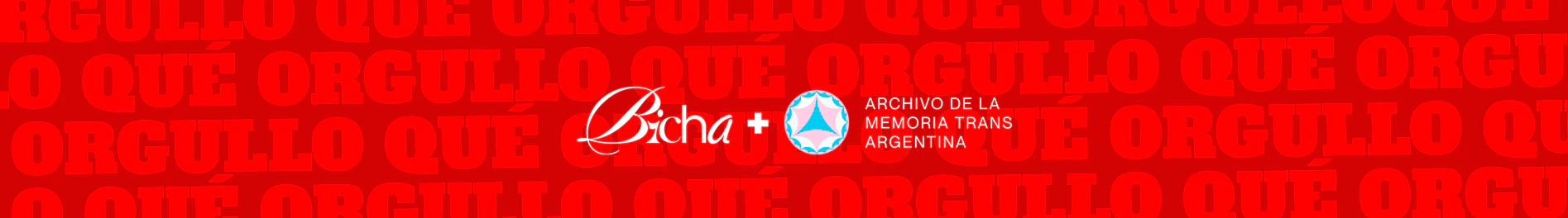 Banner de la categoría QUÉ ORGULLO