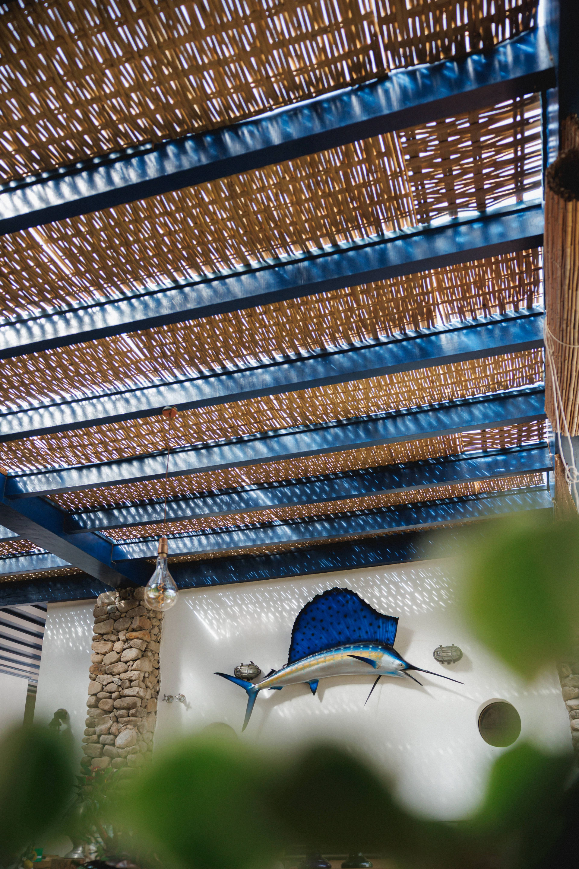 Banner da categoria Shorts Estampados