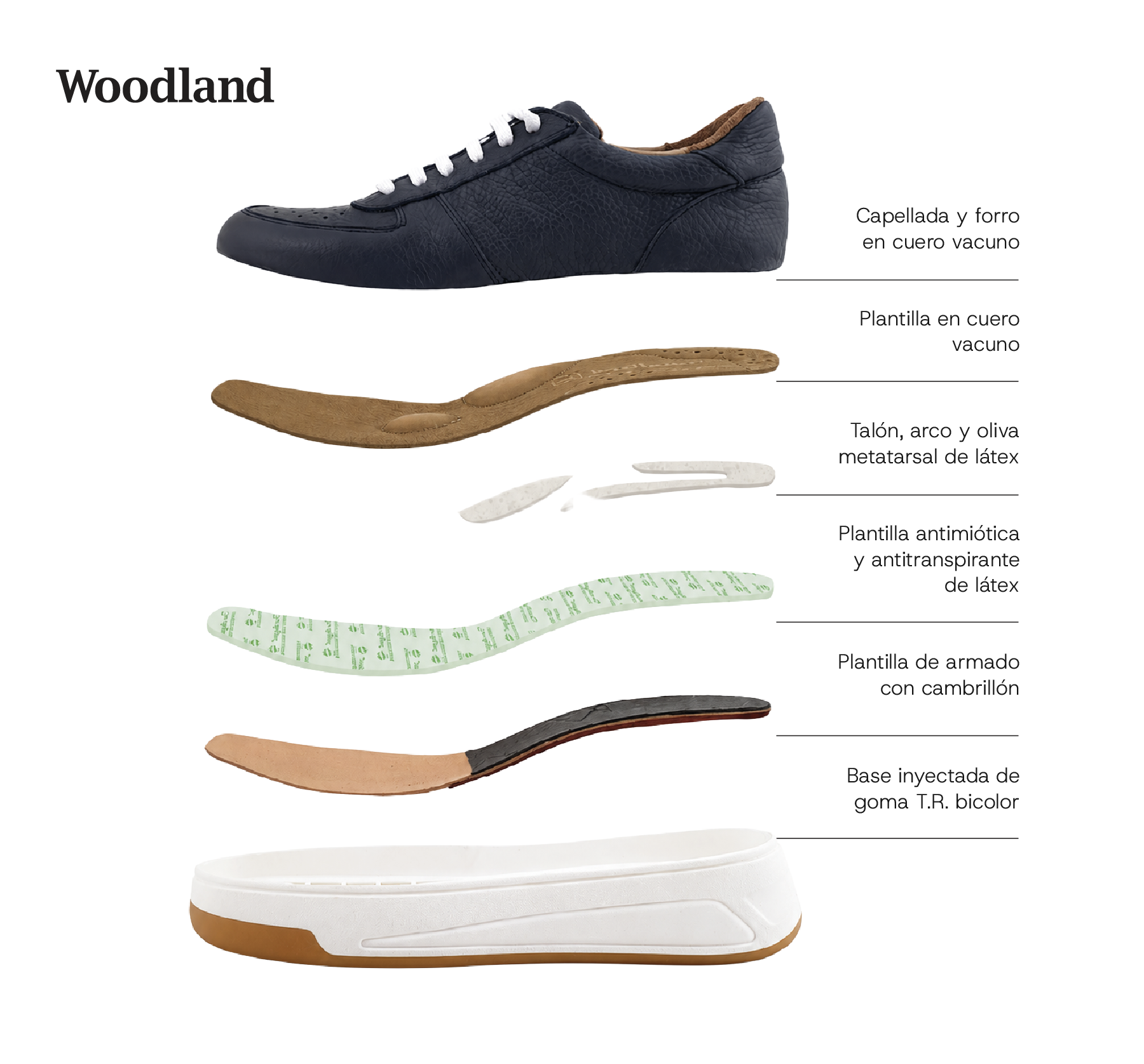 Despiece Woodland 24: capellada y forro en cuero vacuno, plantilla en cuero vacuno, tal&oacute;n arco y oliva metatarsal de l&aacute;tex, plantilla antimic&oacute;tica y antitranspirante de l&aacute;tex, plantilla de armado con cambrill&oacute;n, base inyectada de goma T.R. bicolor