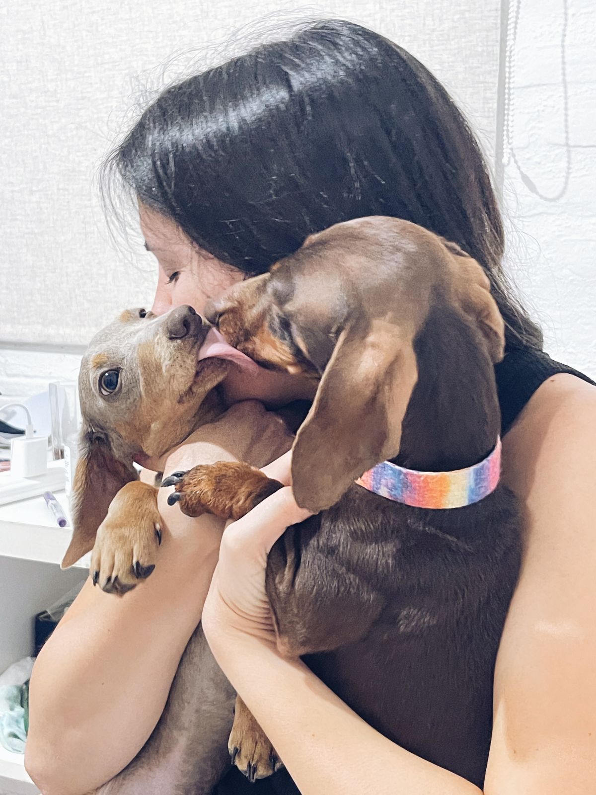 Somos pet friendly - Tribal Accesorios