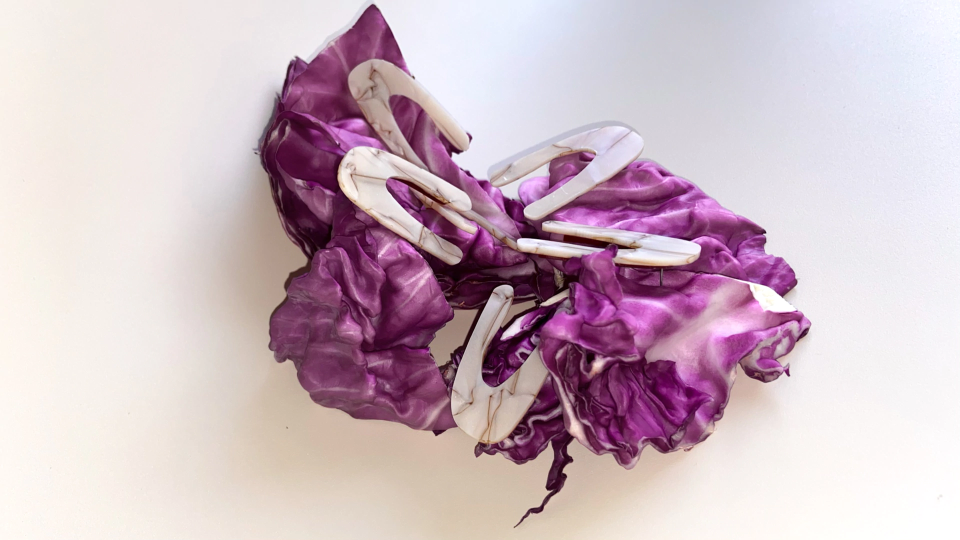 Banner da categoria releitura