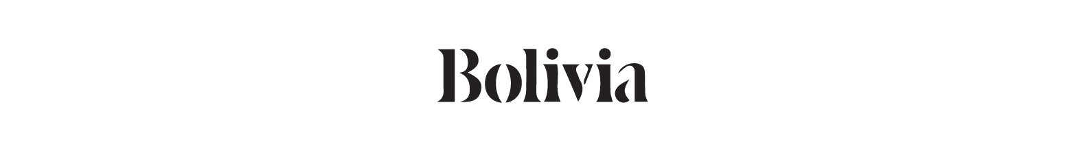 Banner de la categoría BOLIVIA