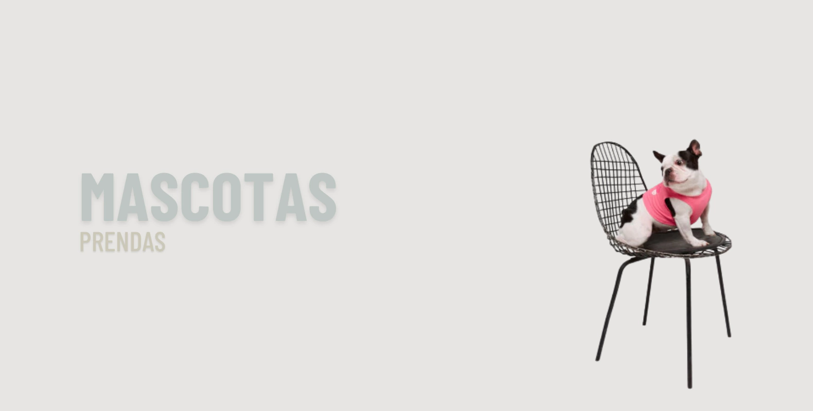 Banner de la categoría MASCOTAS
