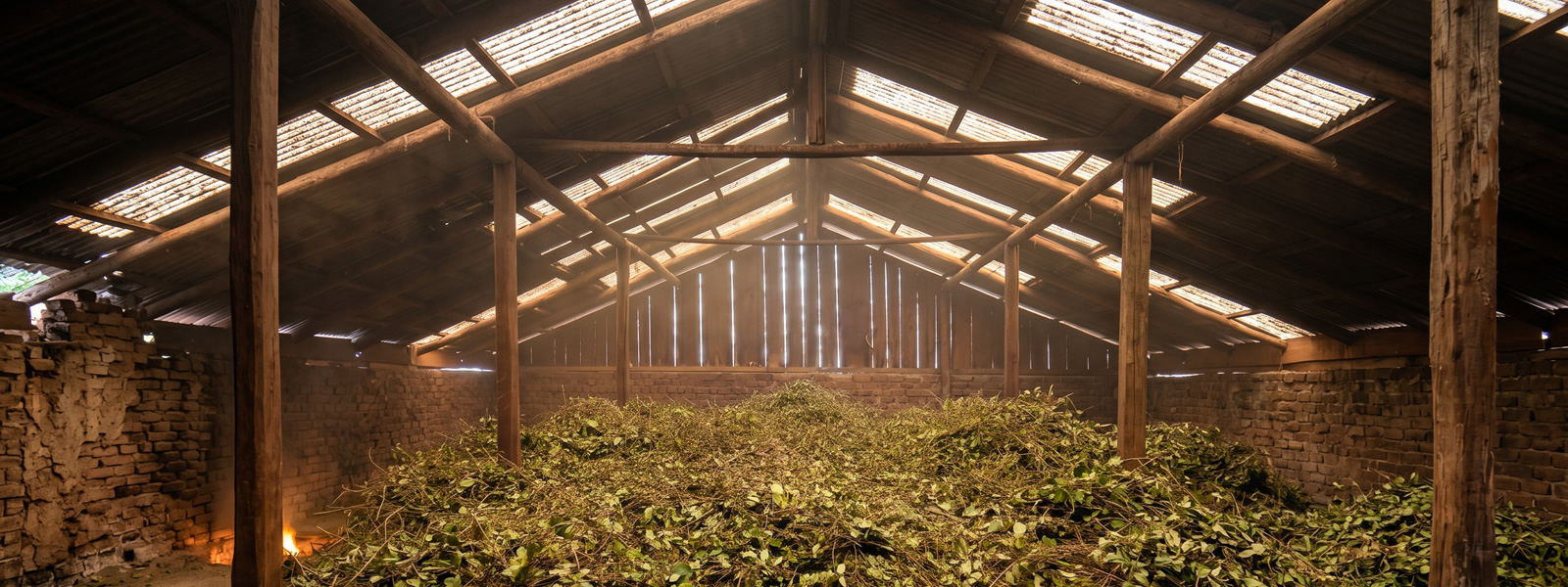 Secadero de Yerba Mate Barbacu&aacute;