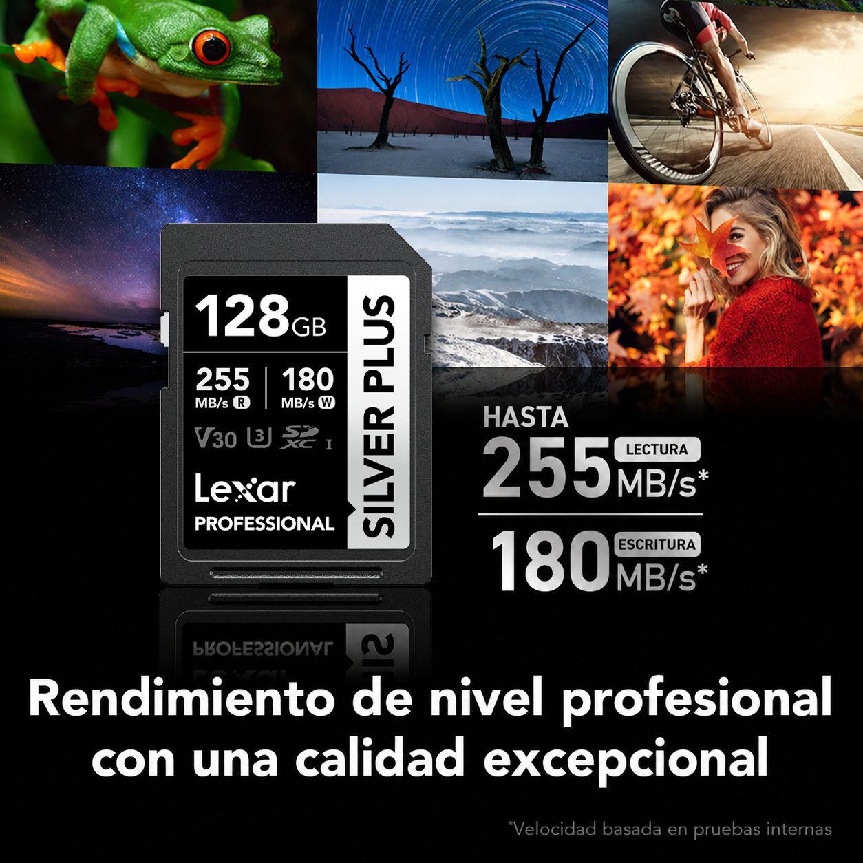 Tarjeta de memoria Lexar Professional SILVER PLUS SDXC V30 MEGA-IMPORT Argentina