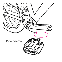 Paso 4