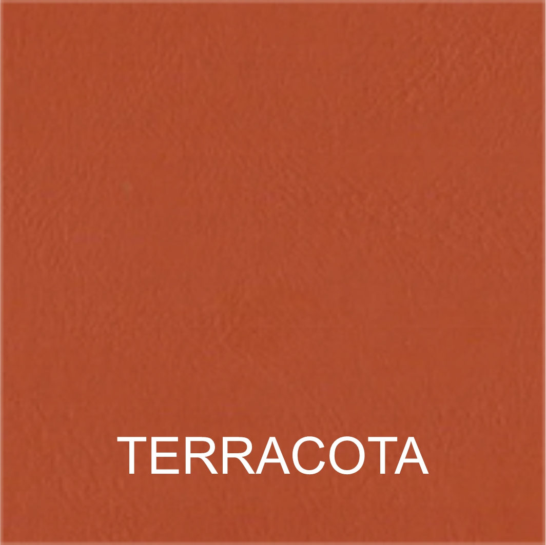 S_terracota