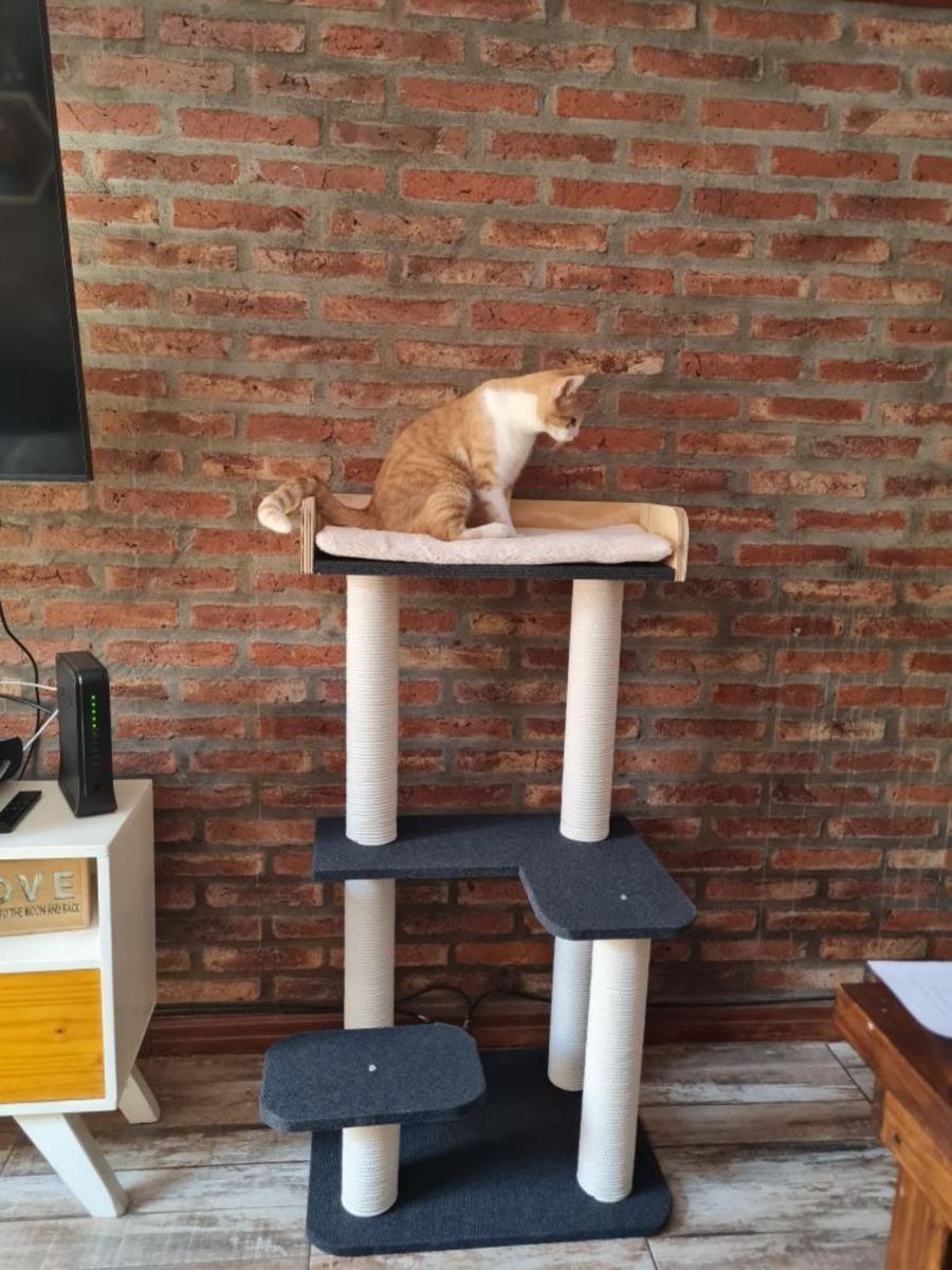 Michi usando el Gimnasio Michulino XL Purfect