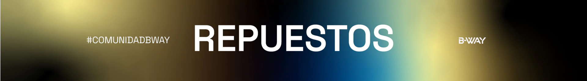 Banner de la categoría REPUESTOS