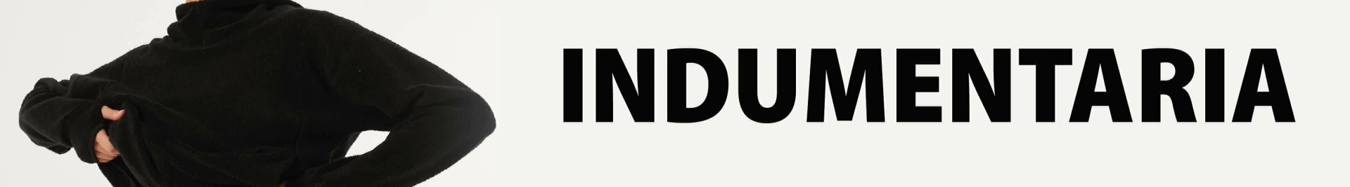Banner de la categoría INDUMENTARIA