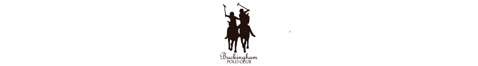 Banner de la categoría Polo Buckingham