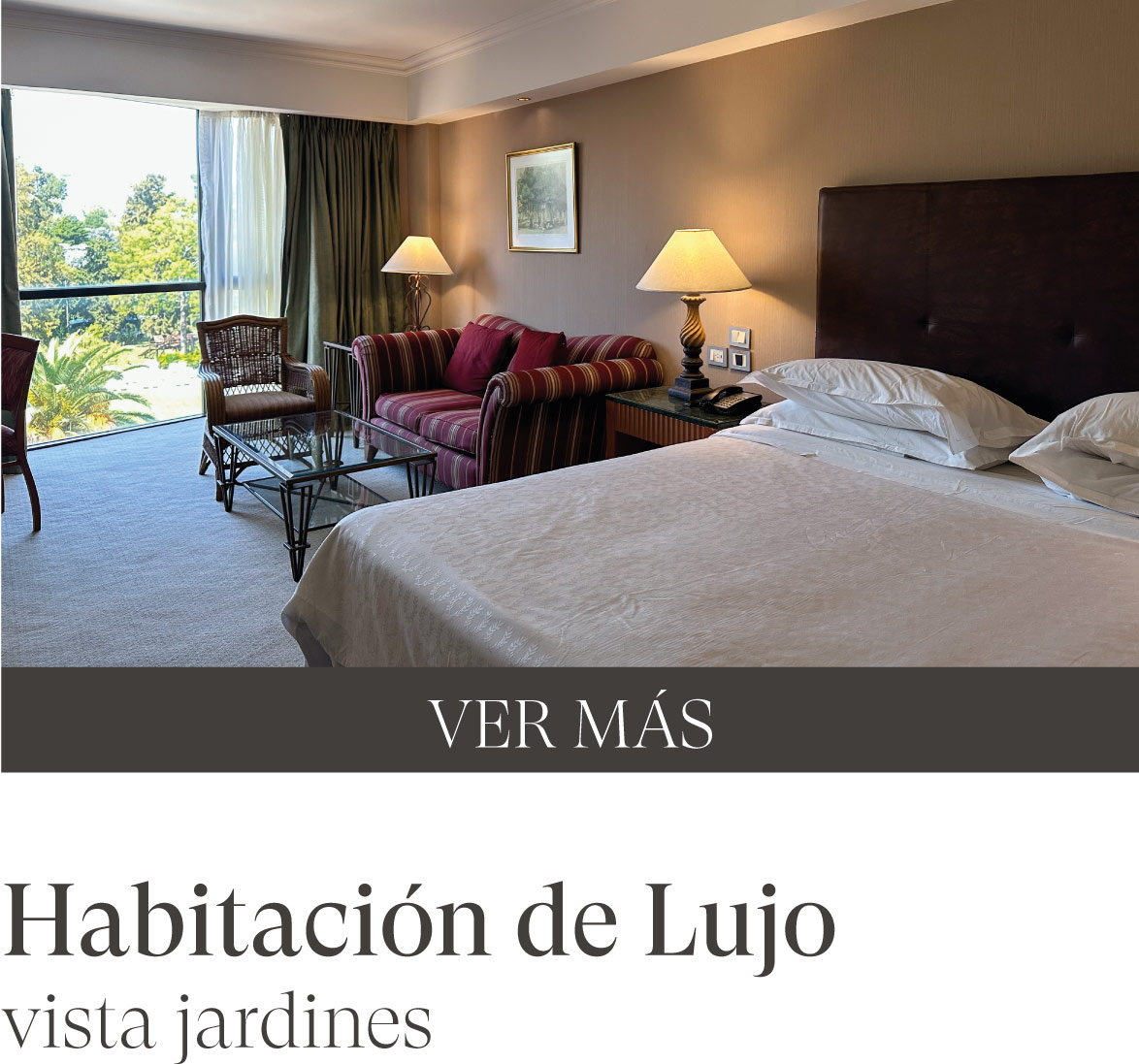 Habitacion de Lujo