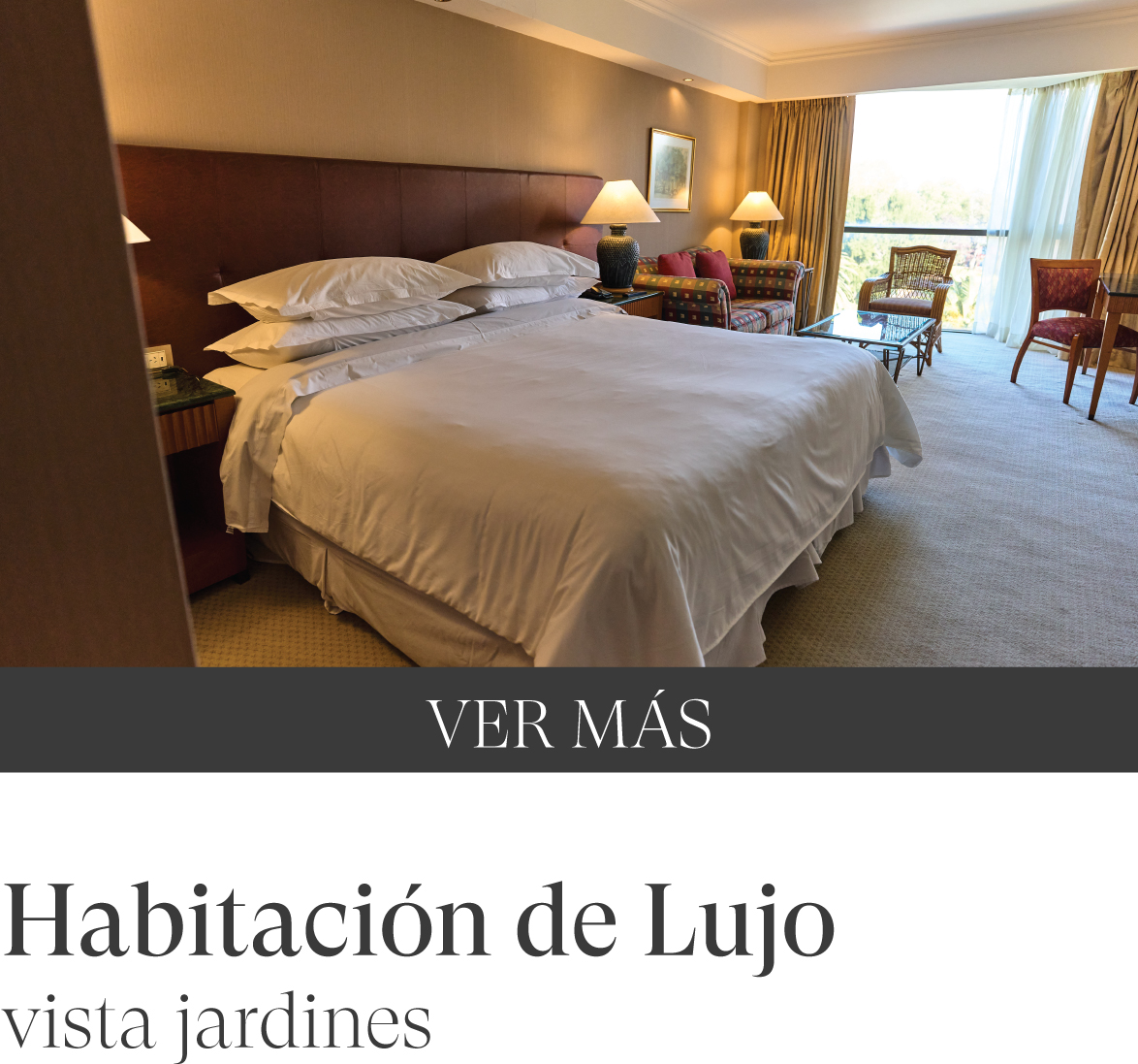 Habitacion de Lujo