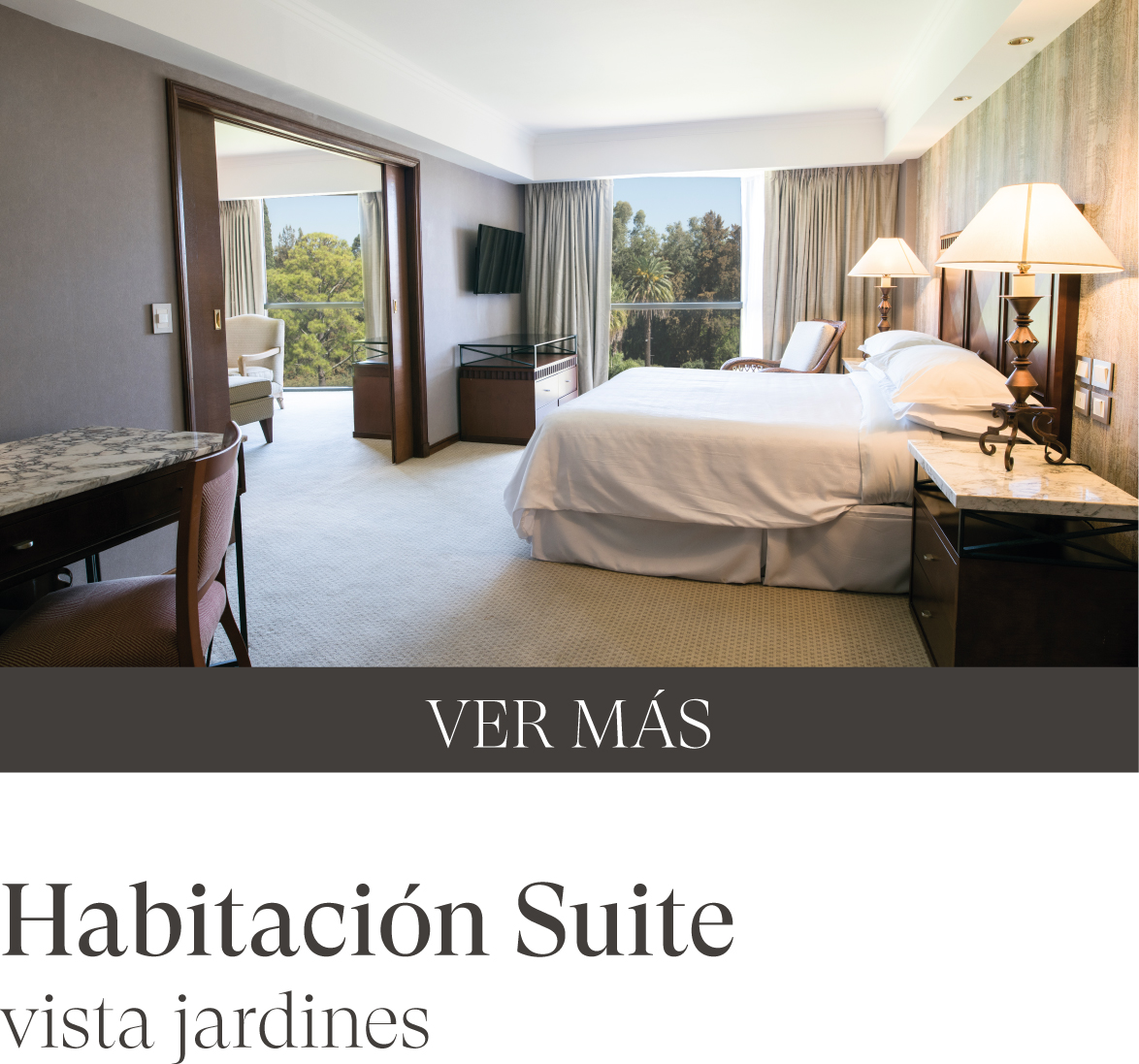 Habitacion Suite