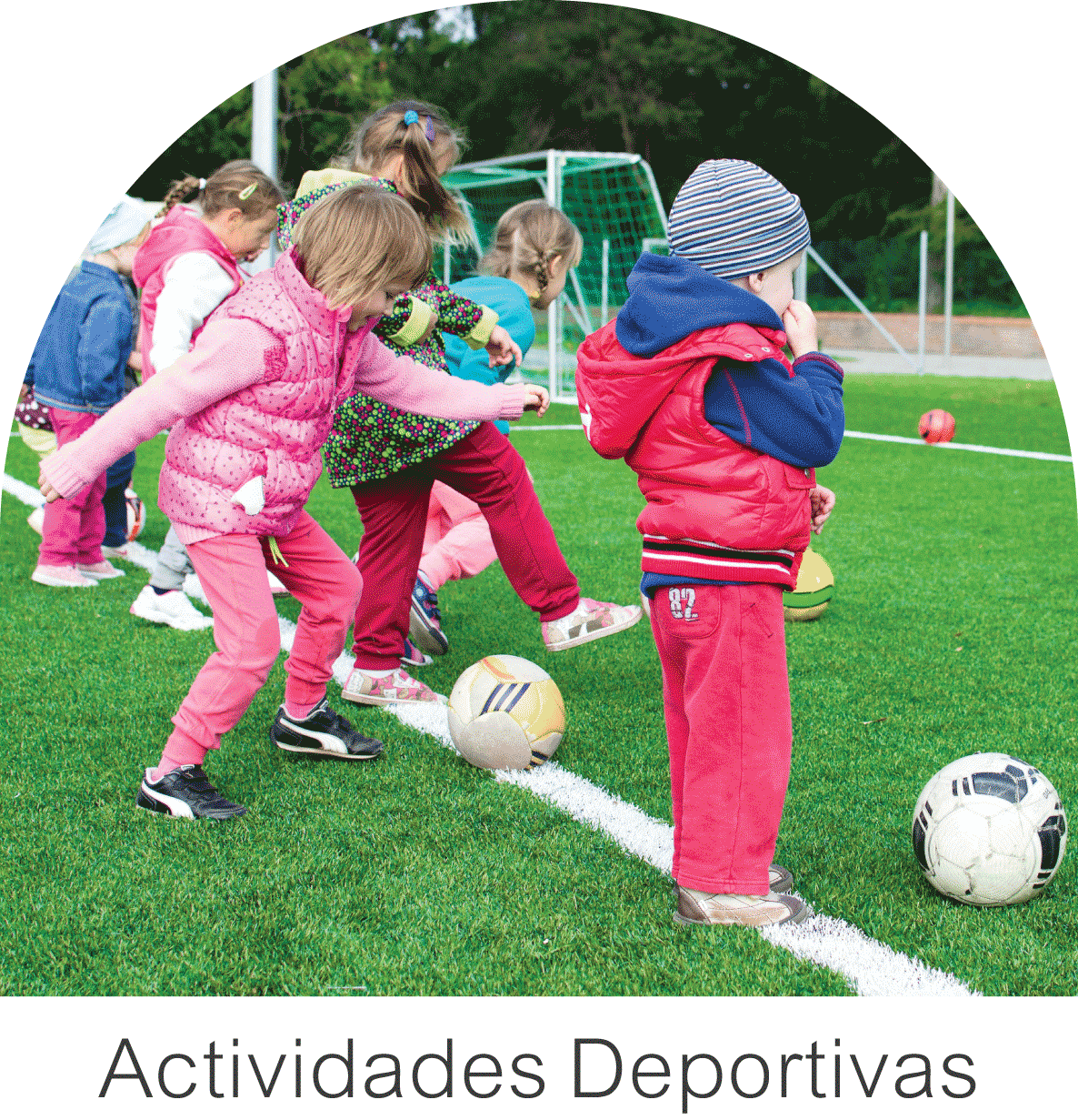 Actividades deportivas