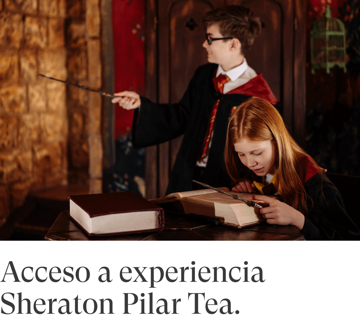 Jardines Acceso a experiencia Sheraton Pilar Tea.
