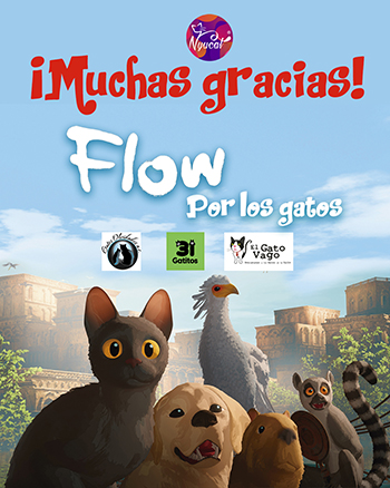 Flow por los gatos