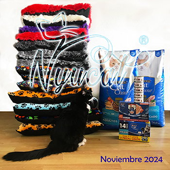 Donativo 27