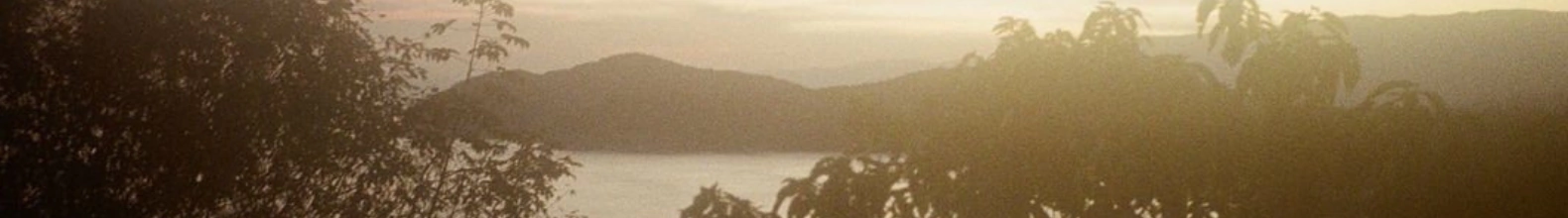 Banner da categoria Camisas