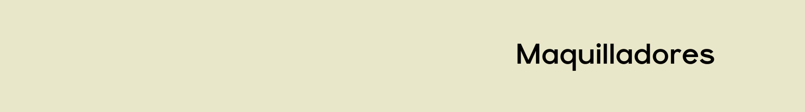 Banner de la categoría Maquilladores