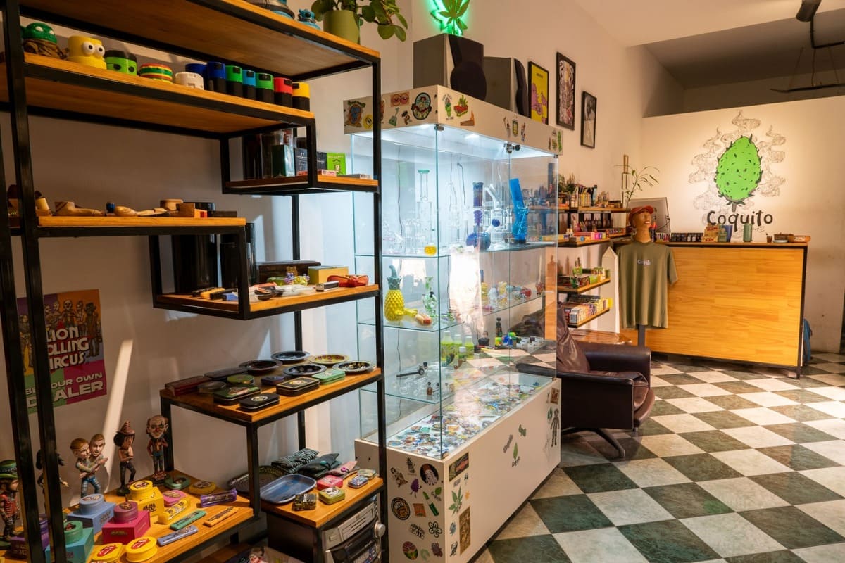foto interior del local estanteria y vitrina