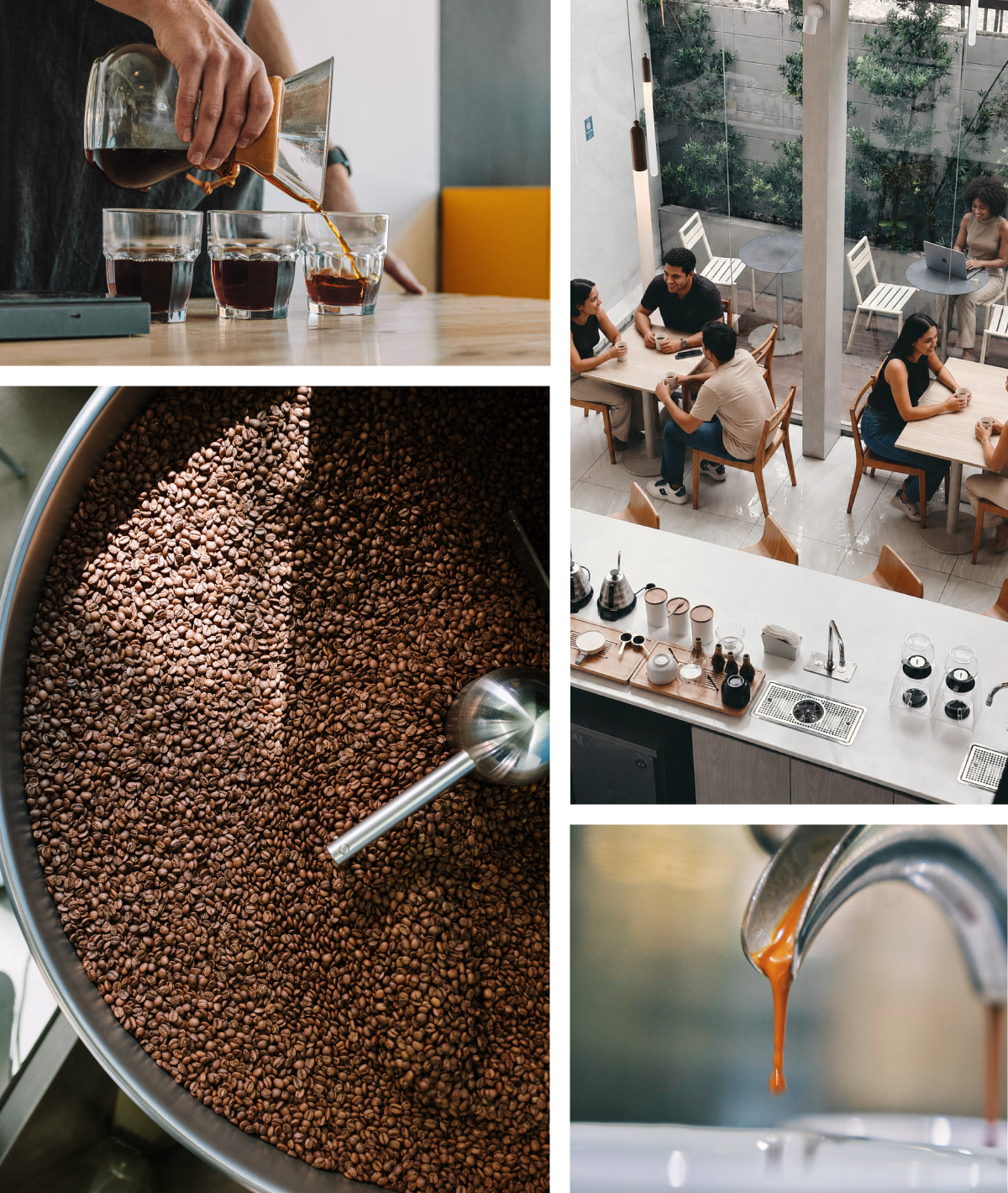 Equipos e Insumos para Cafeterías y Negocios de Café