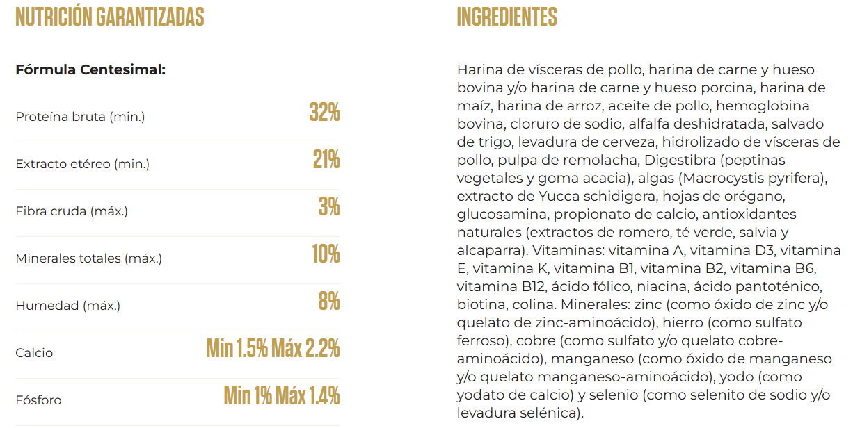 provet-perro-cachorro-mendoza