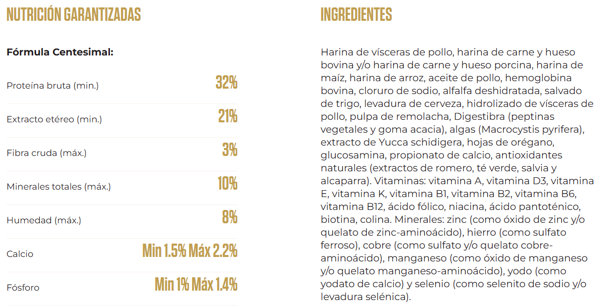 provet-cachorros-godoycruz