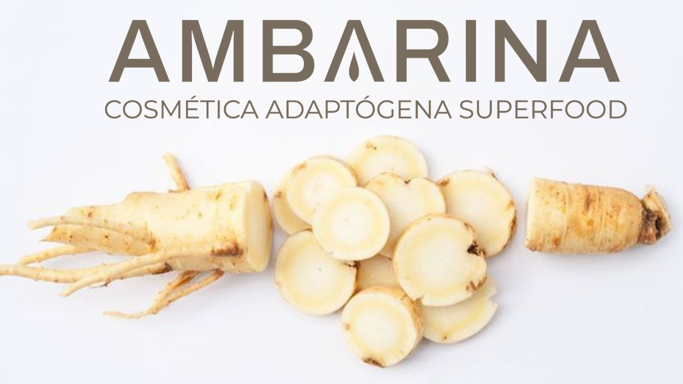 Logo ambarina sobre ginseng