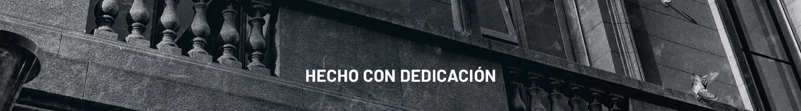 Banner de la categoría Nuevo