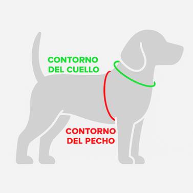 Diagrama

El contenido generado por IA puede ser incorrecto.