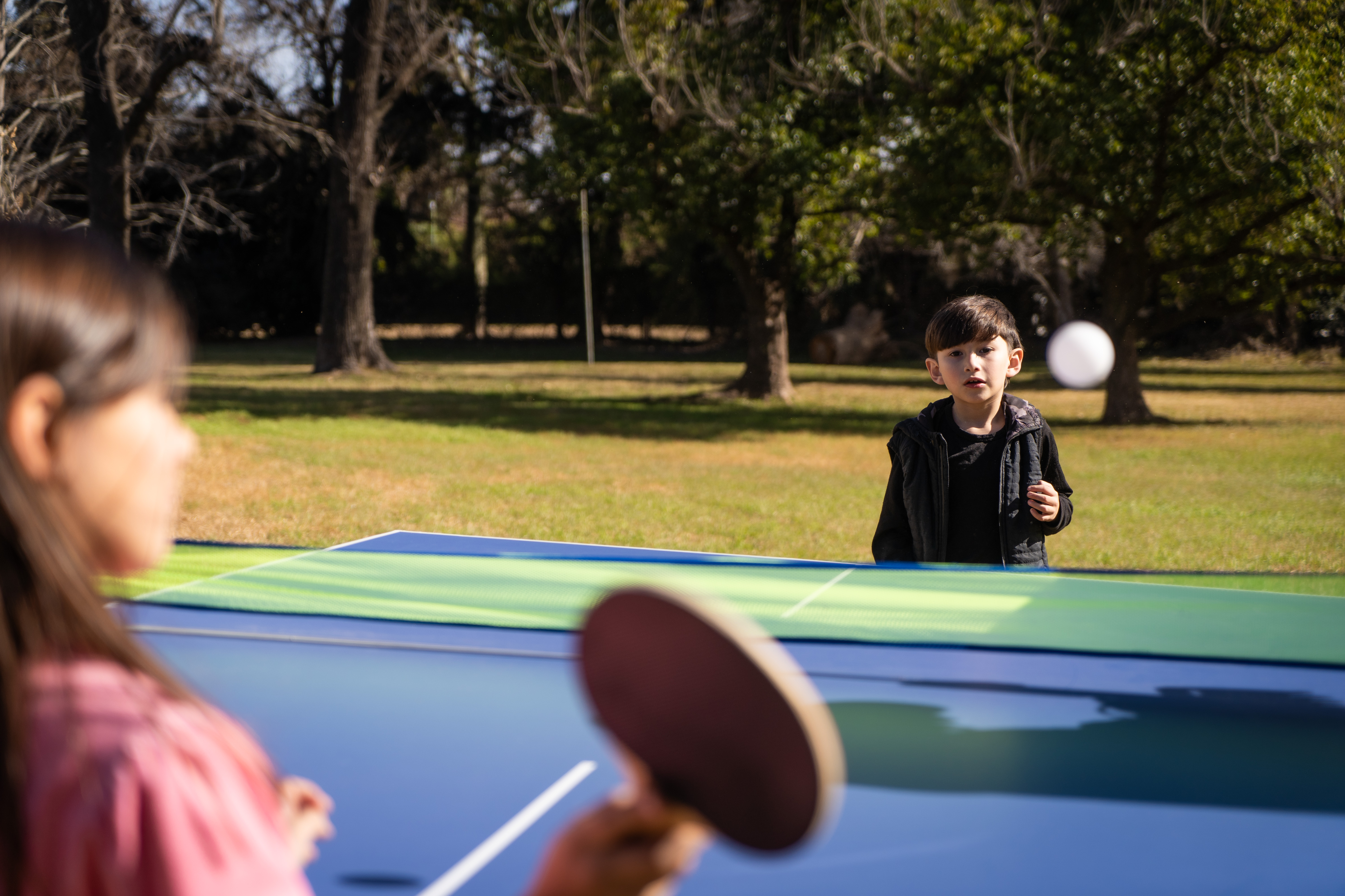 Mesa de Ping Pong Premium