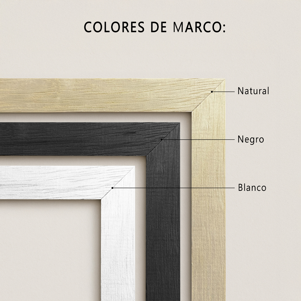 Colores de marco