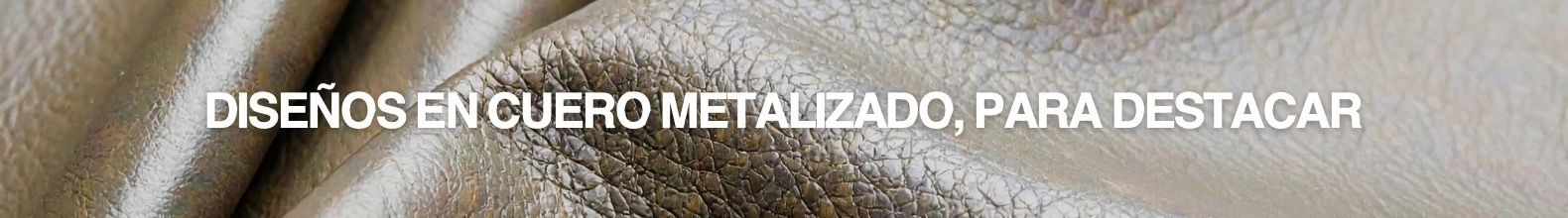 Banner de la categoría Edición FIESTA