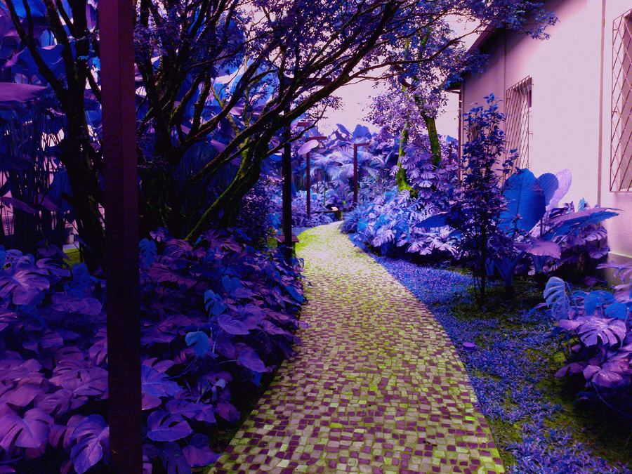 Fotografia feita com o filtro DELIRIO