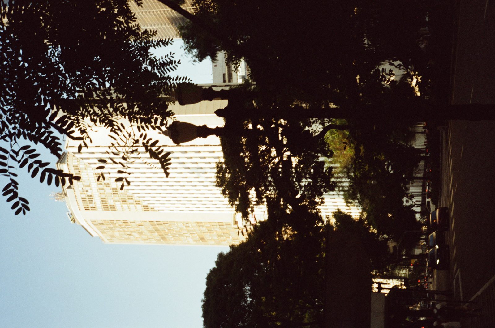Foto de exemplo com o filme ALTCOLOR 400, por @gabrielc_png