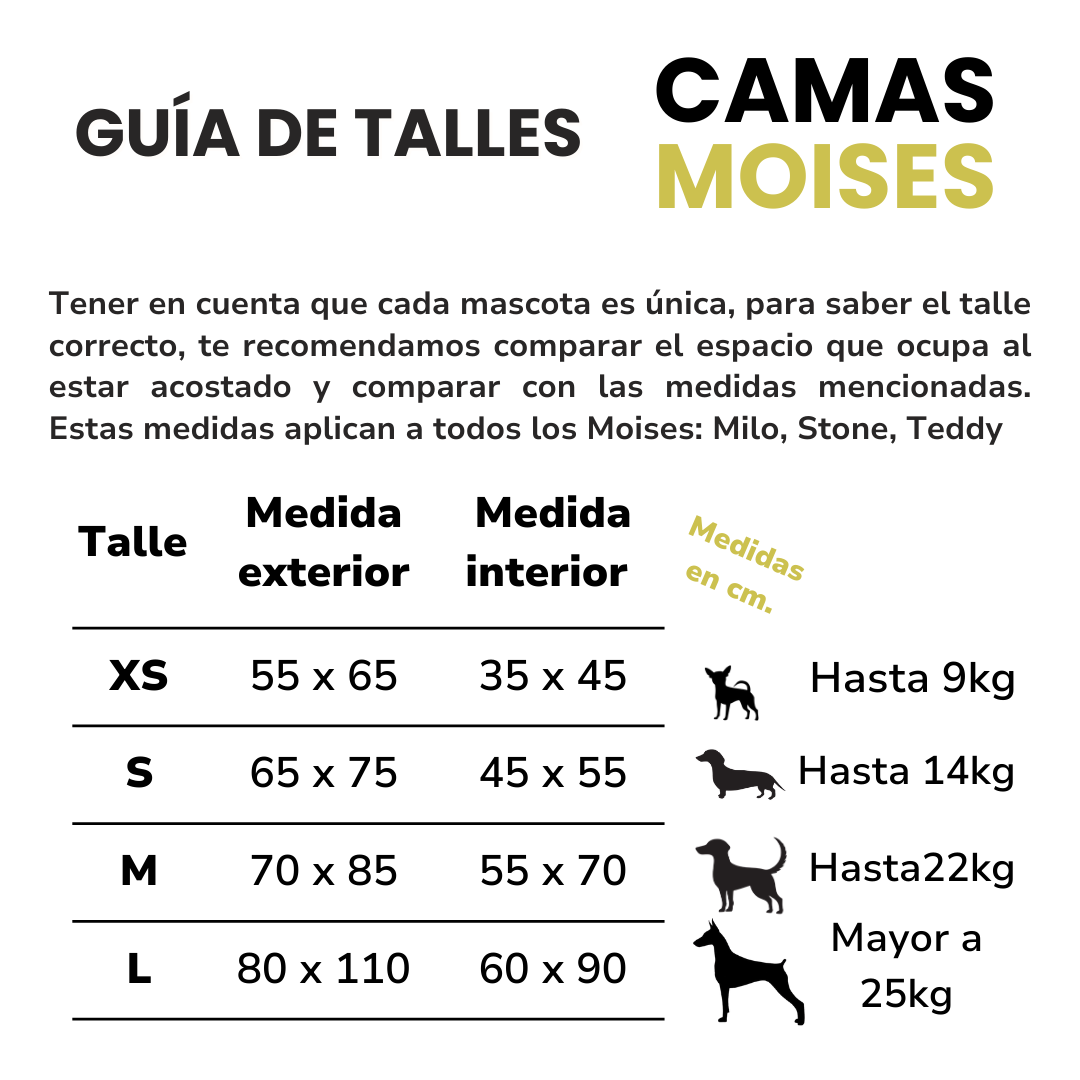 Guia de talles de Moises