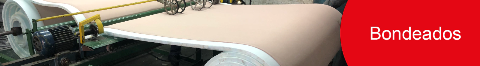 Banner de la categoría BONDEADOS