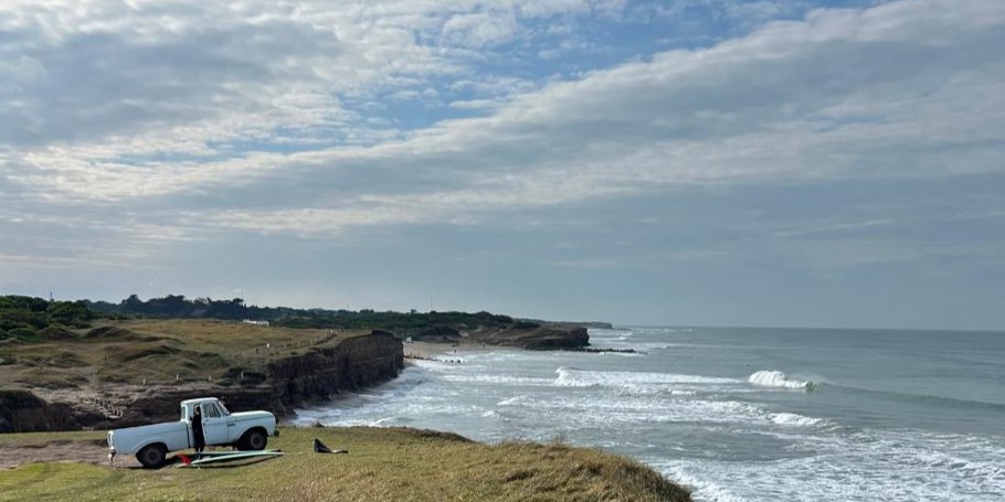 Funda SurfTrip x Jardín de Epicuro
