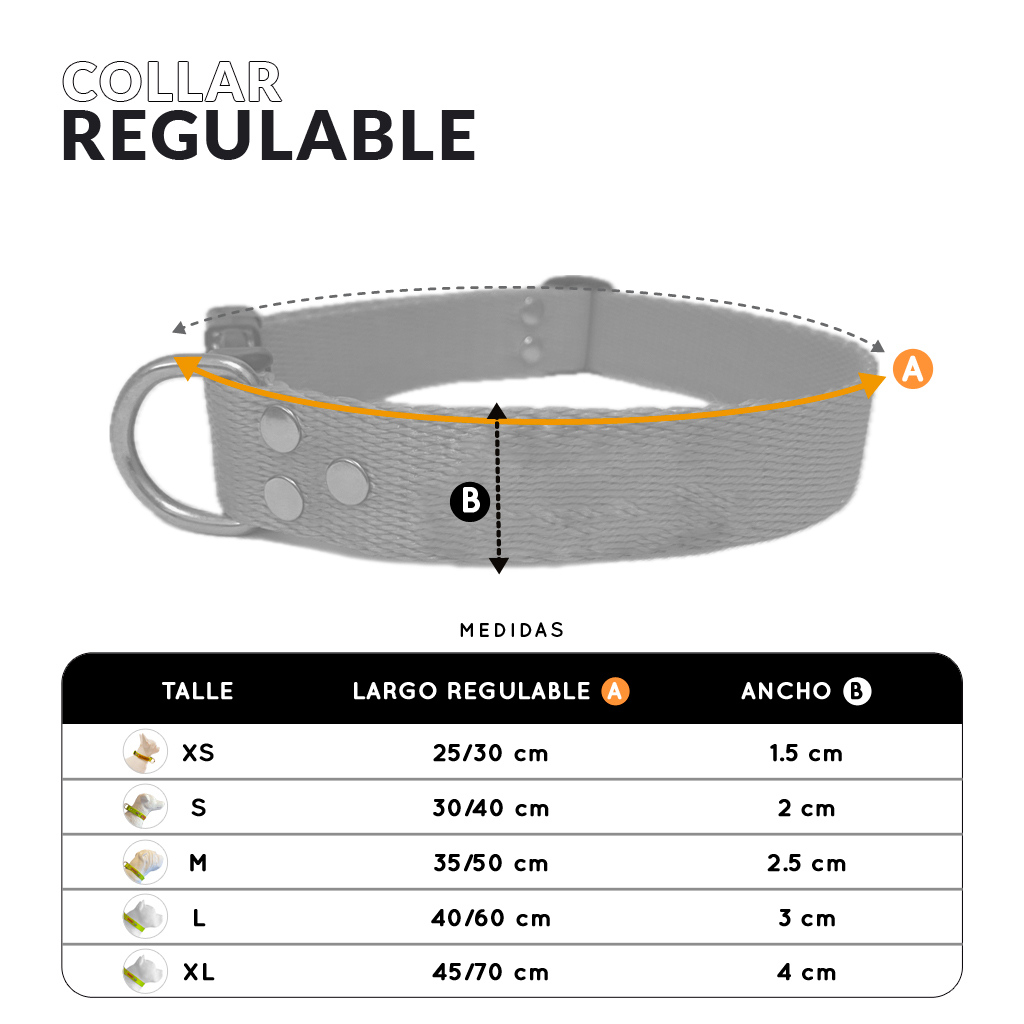 collar para mascotas