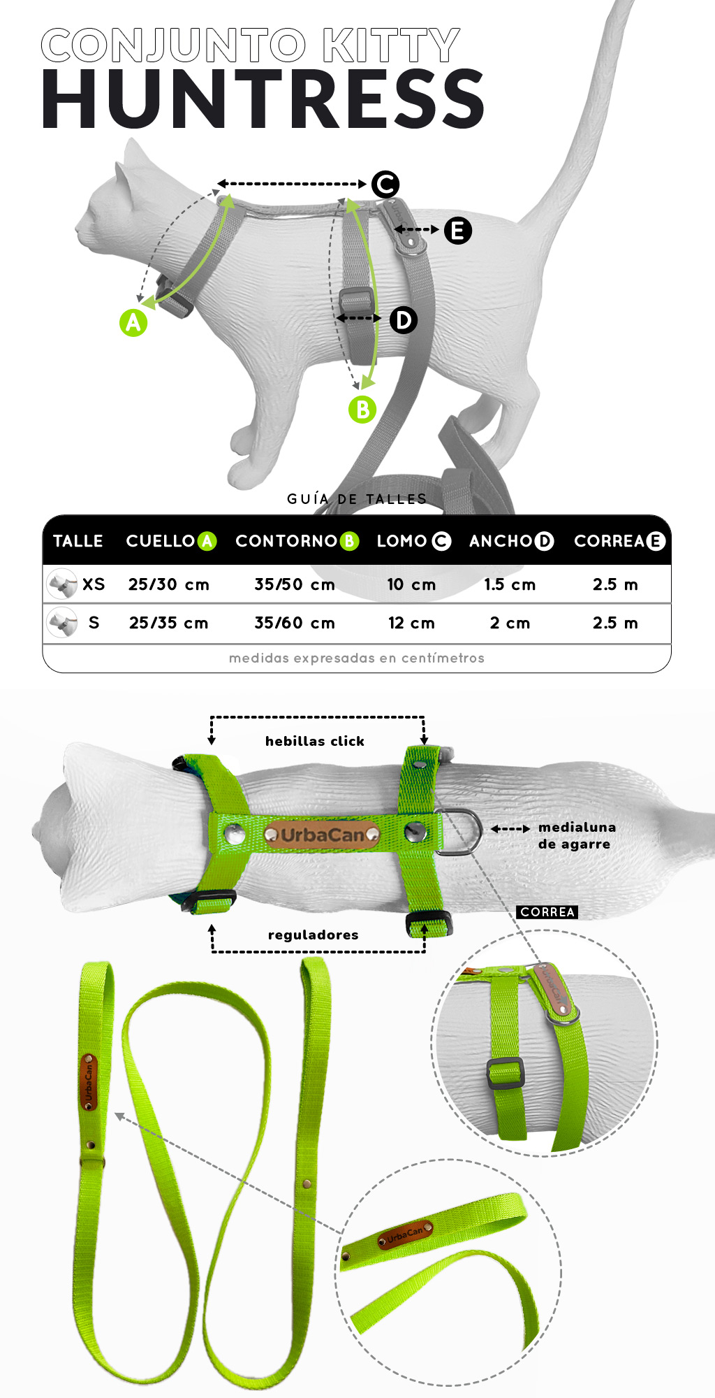 conjunto para gatos con correa y pretal