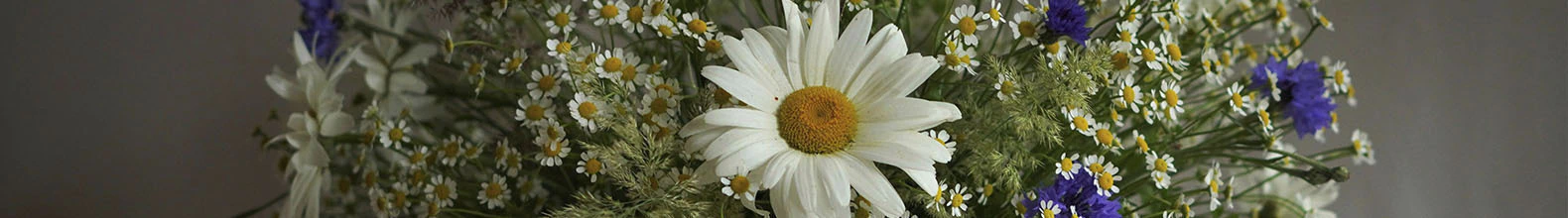 Banner da categoria CASA LINDA!