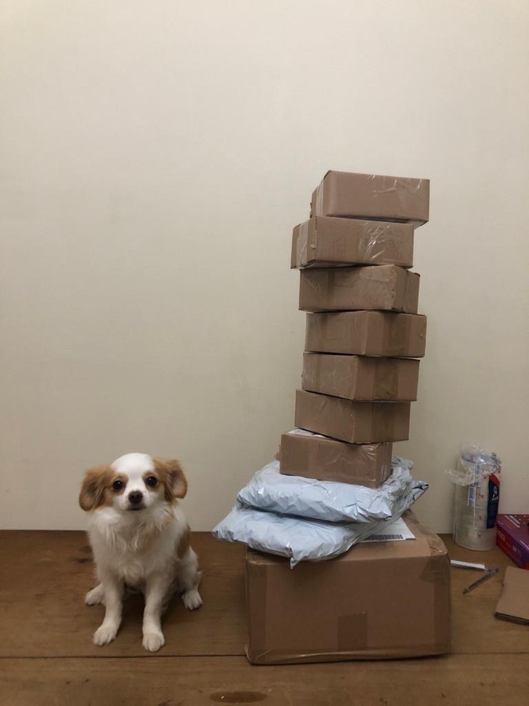 Primeiros pacotes prontos para envio