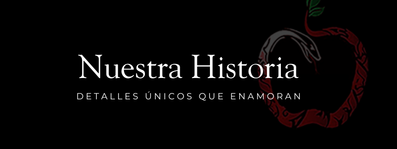 Quienes somos y vision de marca de temptation lingerie