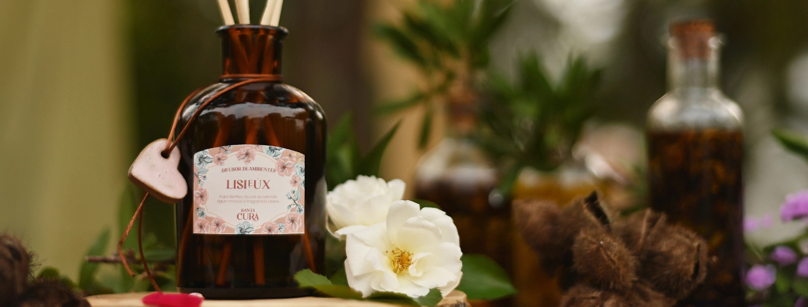 Banner da categoria Lisieux